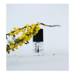 Hanami Top & Base Coat Nail Polish 15ml