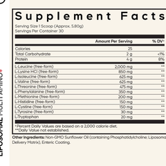 Codeage Liposomal Multi Amino+ Powder 174g