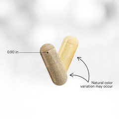 Codeage Women's Fermented Multi vitamin 120caps